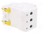 SCHNEIDER ELECTRIC Interruptor magnetotérmico ACTI9 K60N 10A 3P 6kA