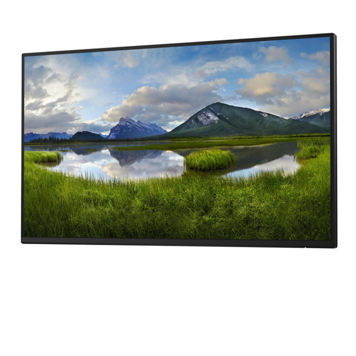 Dell P2425HE Monitor 24 Pulgadas FHD IPS 100Hz Negro (Sin Soporte)