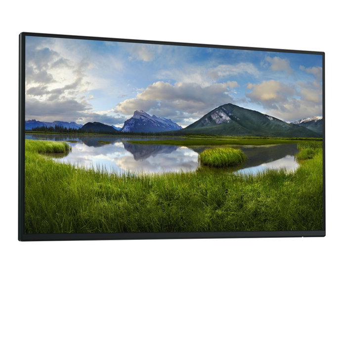 Dell P2425HE Monitor 24 Pulgadas FHD IPS 100Hz Negro (Sin Soporte)