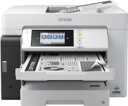 EPSON multifuncion EcoTank Pro ET-M16685