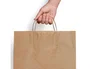Blanca Bolsa kraft basika natural reciclado 90 gr asa retorcida 240x100x320 mm