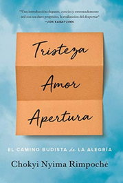 Tristeza, amor, apertura, Chokyi Nyima Rimpoché - DHARMA
