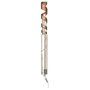 Shark FlexStyle 5 en 1, Secador de Pelo y Moldeador Champagne