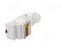 RABBIT Interruptor de crepúsculo DIGILUX para raíl DIN