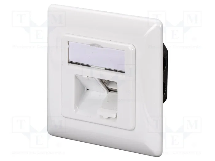 Digitus DN-9008-1 Toma de red CAT 6A clase EA, 2 x RJ-45, Blanco