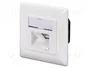 Digitus DN-9008-1 Toma de red CAT 6A clase EA, 2 x RJ-45, Blanco