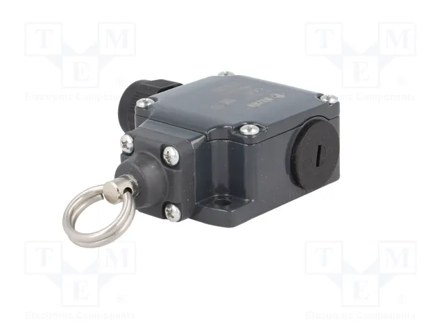 PIZZATO ELETTRICA FL 576-K125 Interruptor de fin de carrera