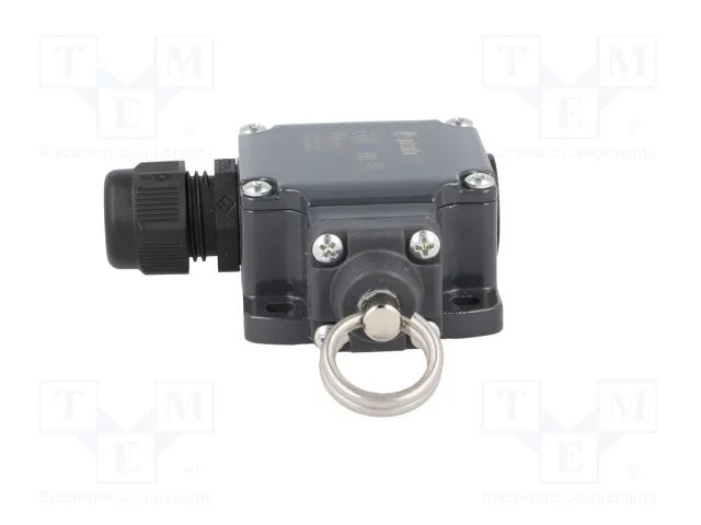 PIZZATO ELETTRICA FL 576-K125 Interruptor de fin de carrera