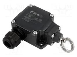 PIZZATO ELETTRICA FL 576-K125 Interruptor de fin de carrera