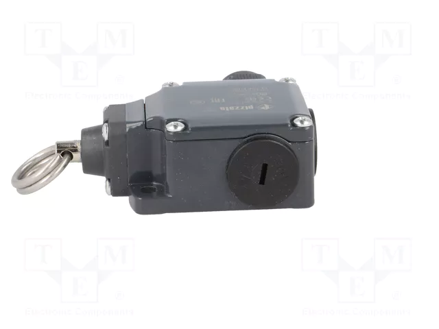 PIZZATO ELETTRICA FL 576-K125 Interruptor de fin de carrera