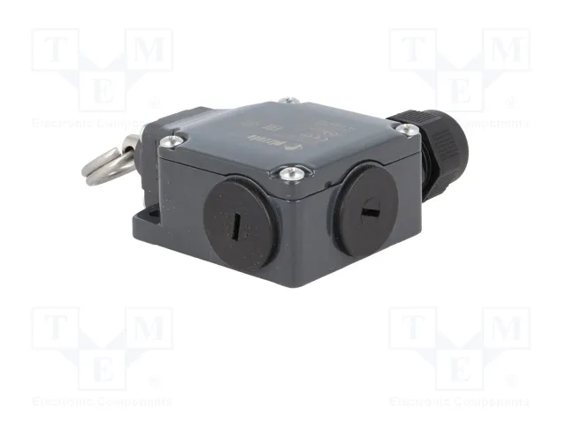 PIZZATO ELETTRICA FL 576-K125 Interruptor de fin de carrera