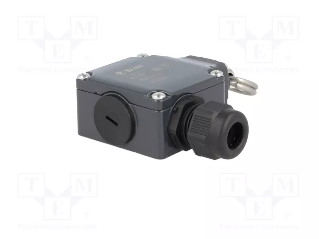 PIZZATO ELETTRICA FL 576-K125 Interruptor de fin de carrera