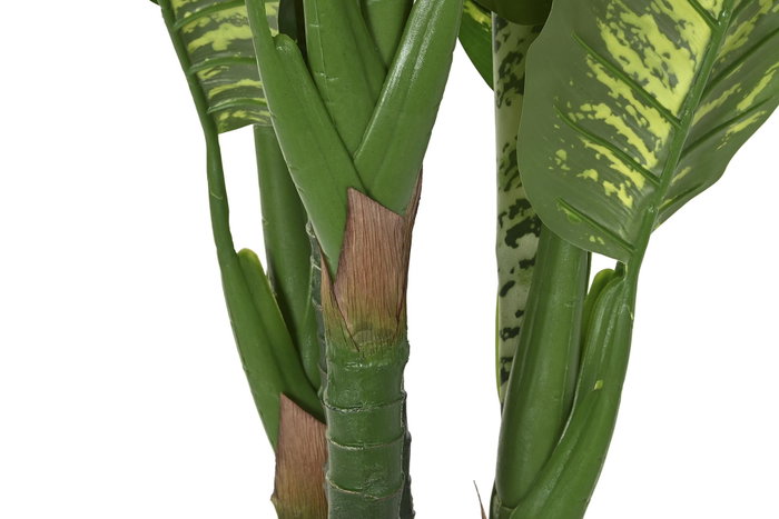 DKD Home Decor Planta Dieffenbachia Verde y Amarillo PE