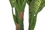 DKD Home Decor Planta Dieffenbachia Verde y Amarillo PE