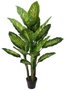 DKD Home Decor Planta Dieffenbachia Verde y Amarillo PE