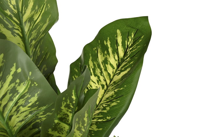 DKD Home Decor Planta Dieffenbachia Verde y Amarillo PE