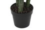 DKD Home Decor Planta Dieffenbachia Verde y Amarillo PE