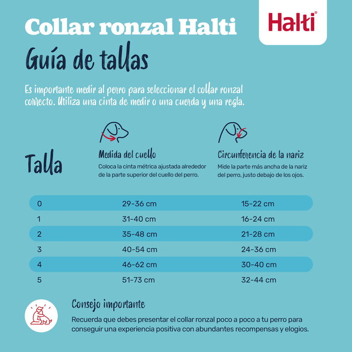 Bozal Company of Animals COBALT Azul 4