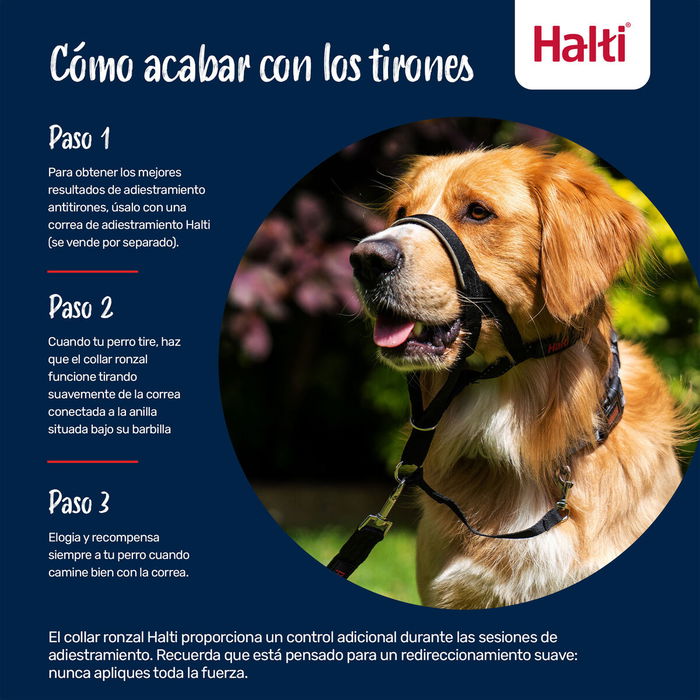 Bozal Company of Animals COBALT Azul 4