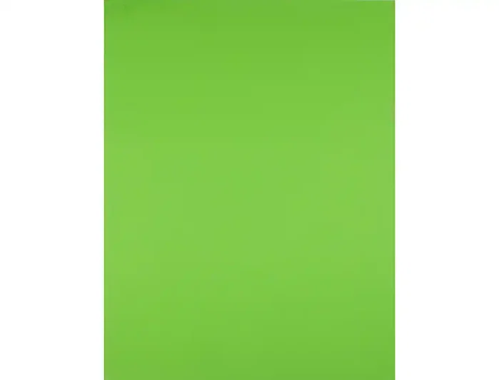 Liderpapel Cartulina Verde Pistacho 50x65 cm 180g/m2 (25 hojas)