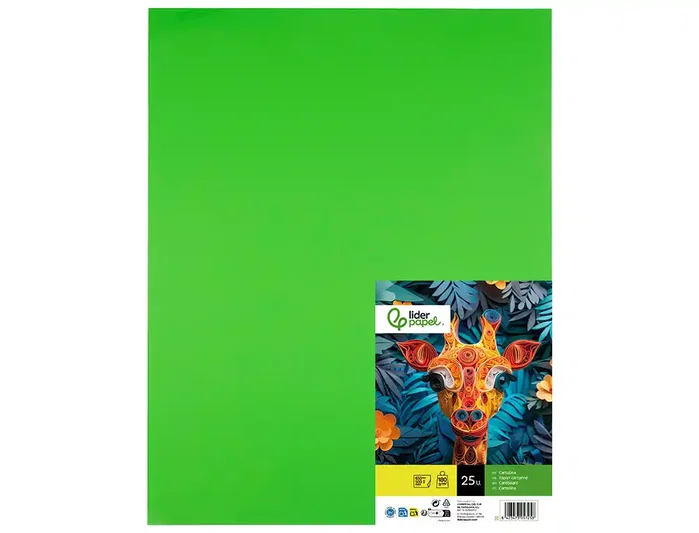 Liderpapel Cartulina Verde Pistacho 50x65 cm 180g/m2 (25 hojas)