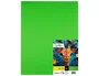 Liderpapel Cartulina Verde Pistacho 50x65 cm 180g/m2 (25 hojas)