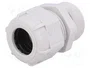 BM GROUP Sello aislante PG21 IP68 gris