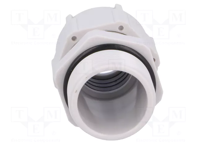 BM GROUP Sello aislante PG21 IP68 gris