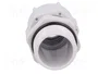 BM GROUP Sello aislante PG21 IP68 gris