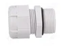 BM GROUP Sello aislante PG21 IP68 gris