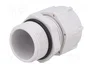 BM GROUP Sello aislante PG21 IP68 gris