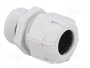 BM GROUP Sello aislante PG21 IP68 gris