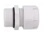 BM GROUP Sello aislante PG21 IP68 gris