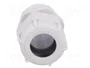 BM GROUP Sello aislante PG21 IP68 gris