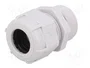 BM GROUP Sello aislante PG21 IP68 gris