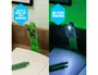 Wondee Lámpara de Lectura Minecraft Creeper LED Oficial para Fans