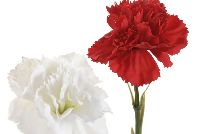 DKD Home Decor Flor Artificial Clavel Rojo Blanco Seda/PE Tacto Real 10x50x10 cm (12 Unidades) DKD Home Decor Flor Artificial Clavel Rojo Blanco Seda/PE Tacto Real 10x50x10 cm (12 Unidades)