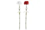 DKD Home Decor Flor Artificial Clavel Rojo Blanco Seda/PE Tacto Real 10x50x10 cm (12 Unidades)