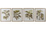 DKD Home Decor Cuadro Decorativo Tropical Natural Blanco Cristal Abeto 3 x 70 x 55 cm