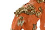 DKD Home Decor Figura de Leopardo en Resina Naranja y Dorado