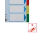 Esselte Separadores PP A5 de 5 pestañas y 6 taladros