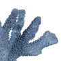 Figura Coral Azul Resina Decoración 27 X 15 X 21 cm