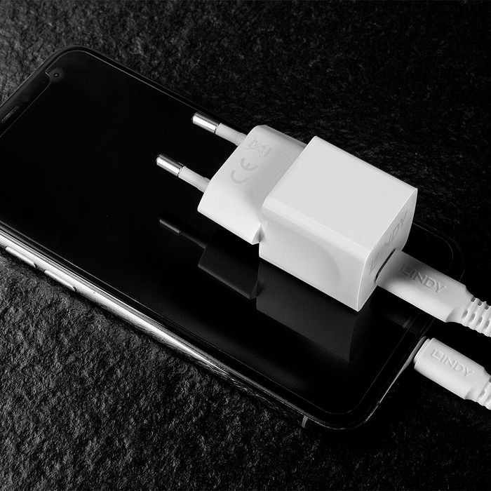 Lindy Adaptador de Corriente USB-C Power Delivery 3.0 20W 100-240VAC 50/60Hz 0.6A Lindy Adaptador de Corriente USB-C Power Delivery 3.0 20W 100-240VAC 50/60Hz 0.6A