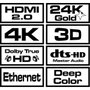 Savio Cable HDMI v1.4 High Speed CL-75 20m Negro