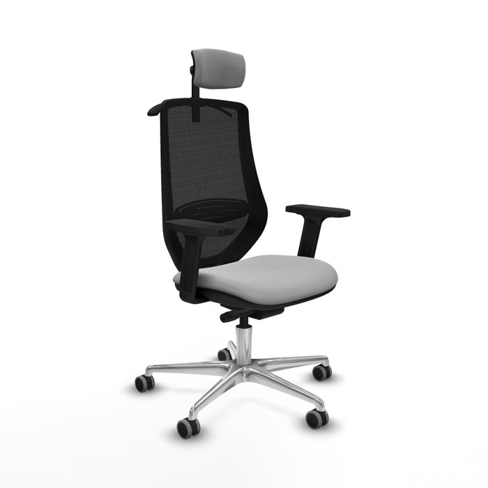 PIQUERAS Y CRESPO Silla de oficina Mardos con mecanismo Sincro/Traslack, Gris claro y Negro PIQUERAS Y CRESPO Silla de oficina Mardos con mecanismo Sincro/Traslack, Gris claro y Negro