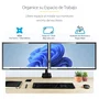 StarTech.com Soporte para Dos Monitores ARMDUALPIVOT hasta 32 pulgadas