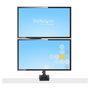 StarTech.com Brazo de Soporte para 2 Monitores VESA hasta 32 Pulgadas - Soporte de Montaje en Escritorio con Abrazadera, Ajuste de Altura e Inclinación, Hasta 8 kg por Pantalla