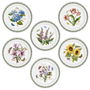 Portmeirion Botanic Garden Plato Llano 25 cm (6 Unidades)