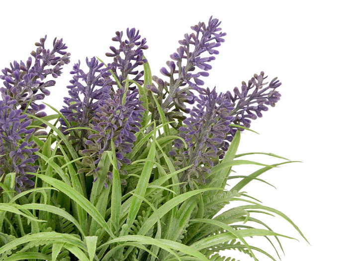 Ibergarden Jardinera Cemento Lavanda Surtidos 31x20x16 cm, Morado/Verde, Plastico/Cemento/Corcho (Set de 16)