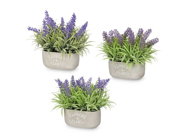 Ibergarden Jardinera Cemento Lavanda Surtidos 31x20x16 cm, Morado/Verde, Plastico/Cemento/Corcho (Set de 16)